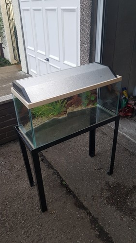 Glass rectangular - rectangular, (standard)