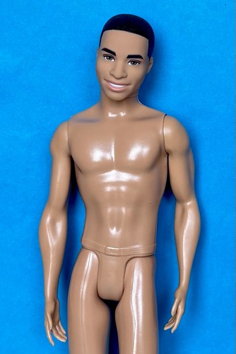 Barbie ken doll fashionista 4 - barbie,