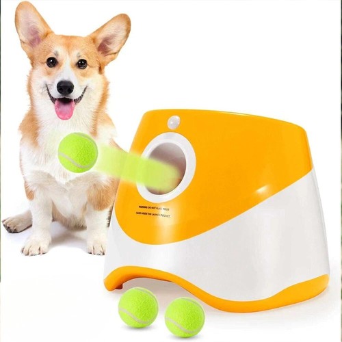 Dog automatic ball launcher - dog,