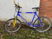 Barracuda Mens (Large)