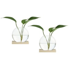 2 Pack Plant Propagation