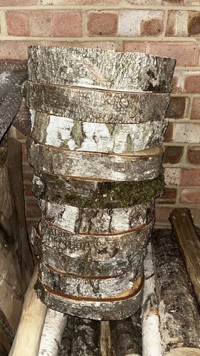 Silver birch round slices - round, disc