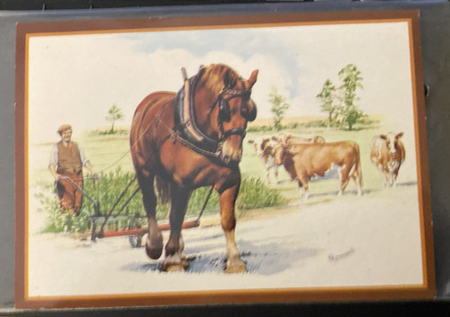 Horse - (suffolk, punch
