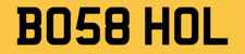 HOLLY HOL NUMBER PLATE FOR