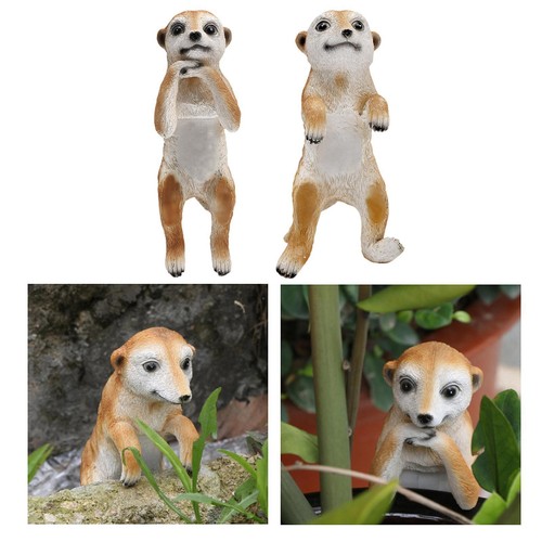 Meerkat garden animal statue - garden,