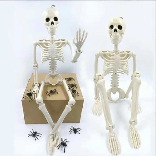 Poseable skeleton full size - poseable,