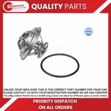 Thermostat for BMW E39