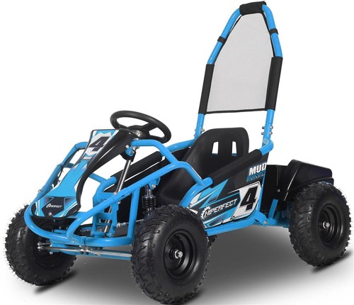 100cc mud monster - -, renegade