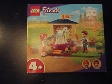 LEGO FRIENDS: Pony-Washing