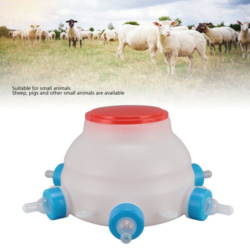 Lamb feeder milk bottles - milk,