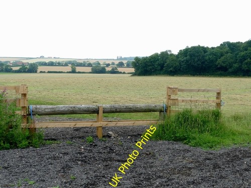 Photo 6x4 cross - 6x4, horse