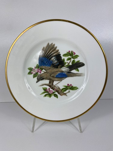 Coalport british birds jay - coalport,