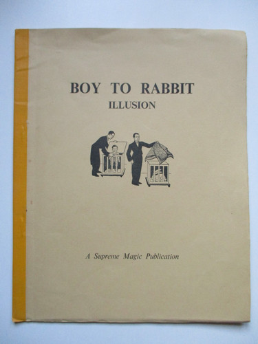 Boy rabbit illusion - to,