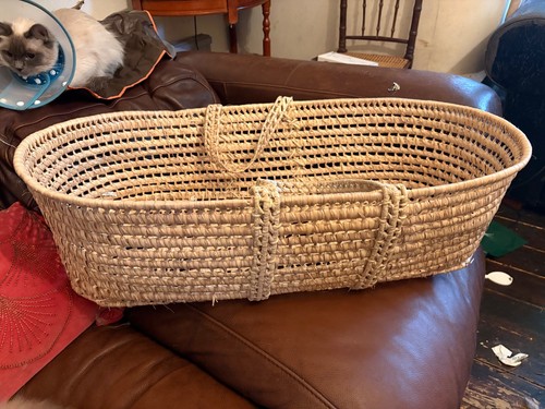 Natural woven moses - moses, basket