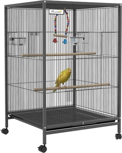 Bird cage budgie - bird,