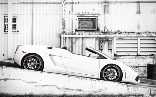 Car white lamborghini vehicle - car,