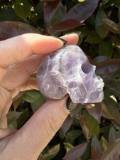 Dream Amethyst Skull