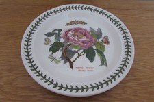 Portmeirion Botanic Garden