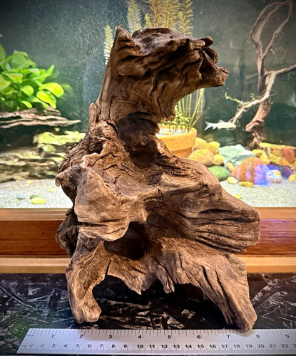 Large natural aquarium - natural,