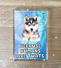 Siberian Husky Fridge Magnet