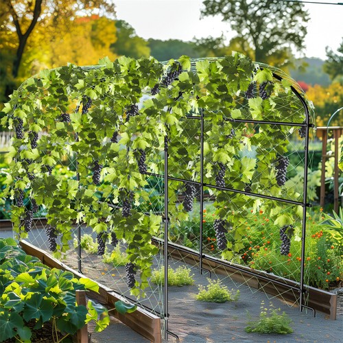 Extra tall garden trellis - garden,