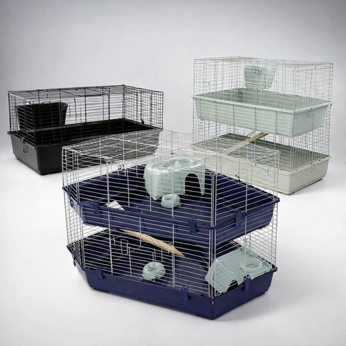 Rabbit guinea pig - guinea, pet