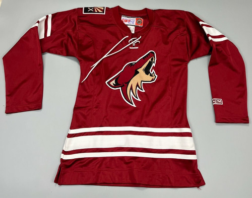 Phoenix arizona coyotes - phoenix,