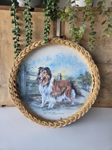 Vintage melamine rough collie - vintage,
