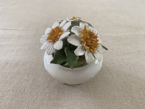 Radnor fine bone china - radnor,