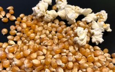 Popcorn Kernels Seeds Popping
