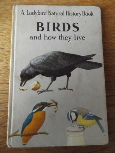 Birds and how they - birds,