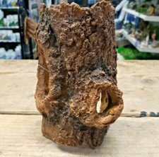 Small Log Cave Tree Stump
