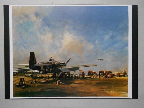 Military aviation print - aviation, print-