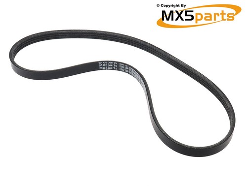 Mx5 power steering belt - belt, no