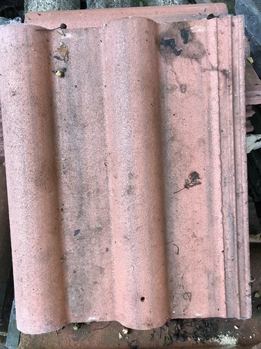 Roof tiles double - roof,