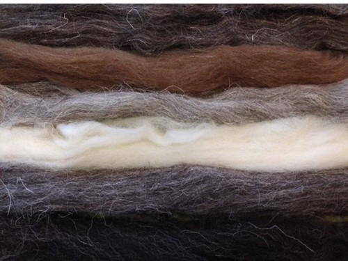 60g natural wool roving - natural,