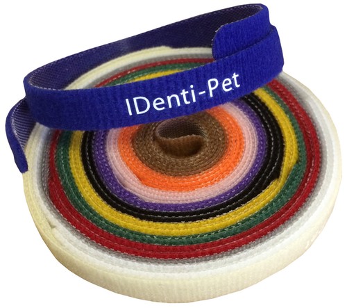Whelping collars bands - whelping,