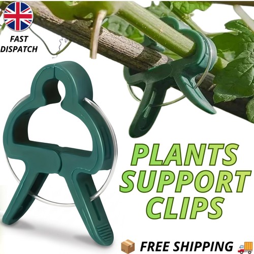 Reusable vine plant support - reusable,