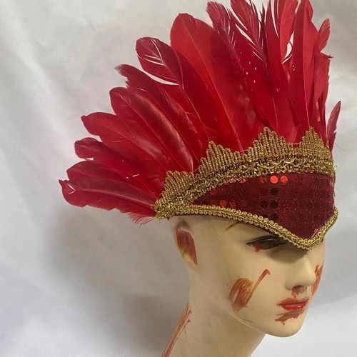 Feather headdress headpiece - feather,
