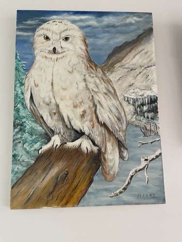 Owl - ,