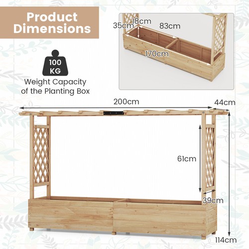 Trellis raised garden - trellis, fir