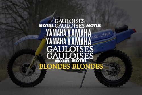 Yamaha xt600z 1vj - yamaha,
