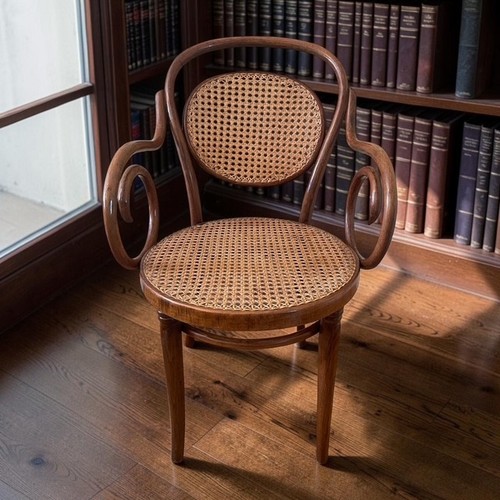 Early 20th century thonet - early, zpn