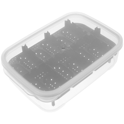 Reptile breeding container - container, egg