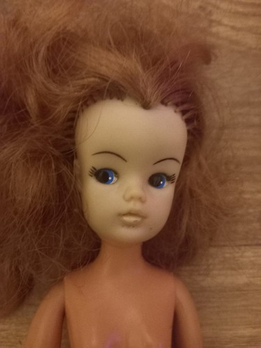 Vintage auburn haired sindy - auburn,