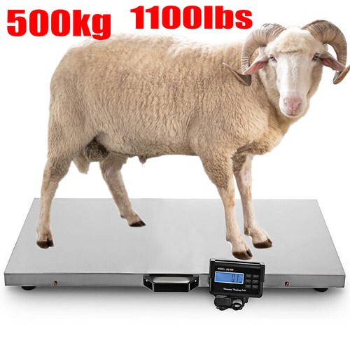 1000lbs animal scale - animal, stainless