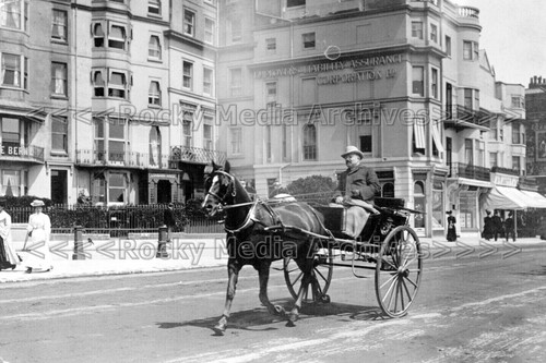 Ffx horse trap - trap,, brighton
