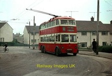 Bus Photo - Belfast Trolleybus 148 at Whiterock terminus - 1968