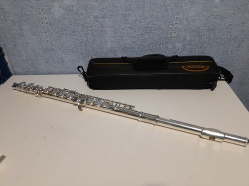 Sonata student flute with - -,