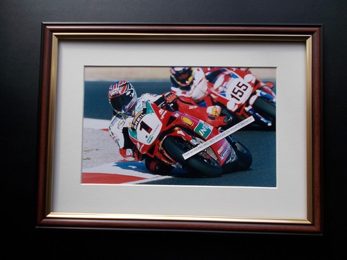 Australian troy bayliss - australian, motor